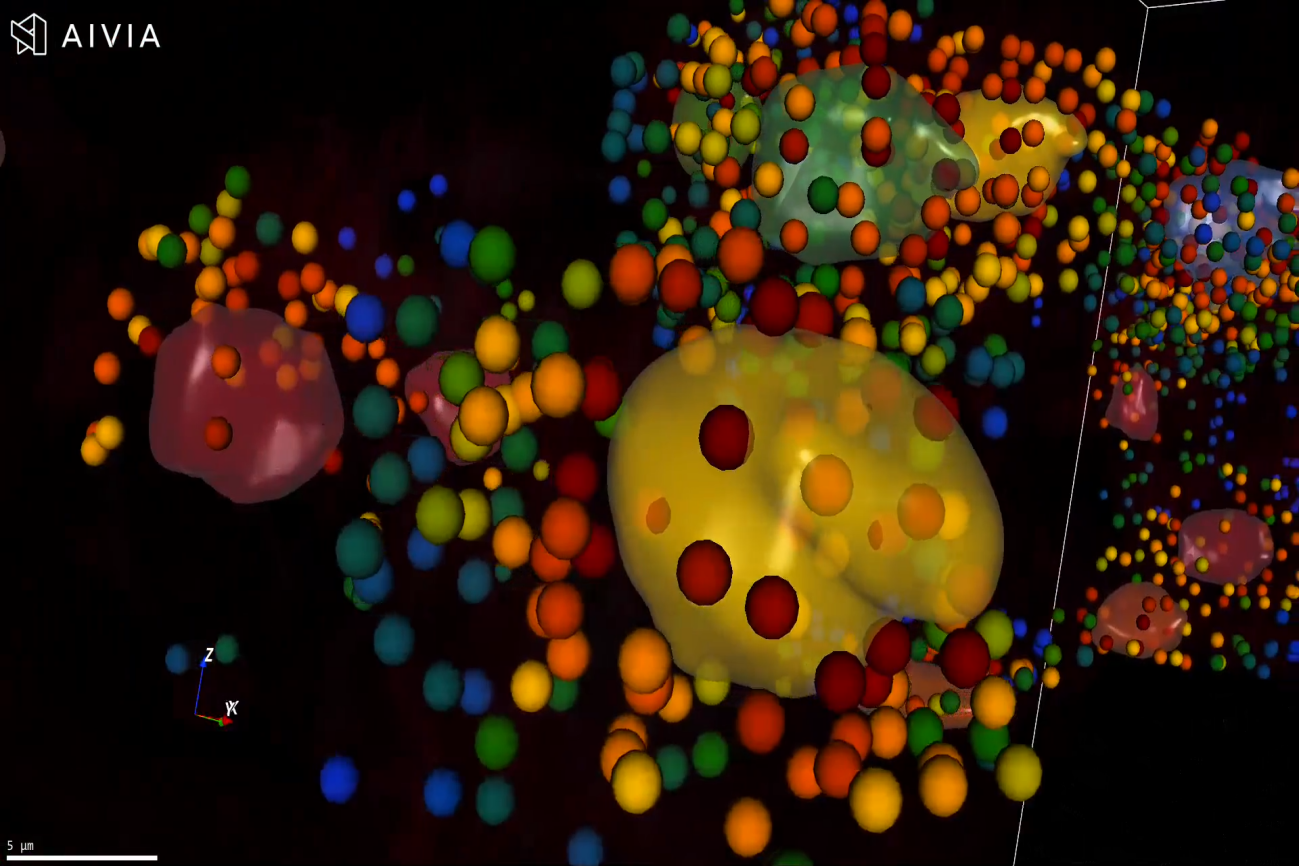 首都医学科学创新中心-图像分析软件Aivia